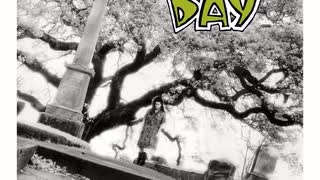 Green Day - At the Library