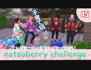 ＃45【シムズ4】レガシーのようで、レガシーでない【ゆっくり実況】