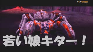 #5-17 再生数１０以下なのはパワハラのせいじゃ PS3 【デビルメイクライ２】