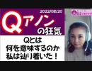 【Qアノンの正体】アノンとは匿名という意味、ならば『Q』とは？ その狂気とは？