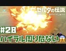 #28 ゼルダの伝説 ブレス オブ ザ ワイルド【マップを広げたい】