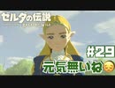 #29 ゼルダの伝説 ブレス オブ ザ ワイルド【元気ないね□】