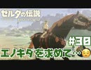 #30 ゼルダの伝説 ブレス オブ ザ ワイルド【エノキダを求めて…！】