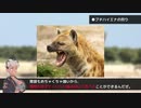 【解説】ブチハイエナってどんな動物？【骨淵ファング/Vtuber】