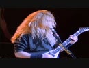 Megadeth - High Speed Dirt