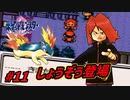 失ったポケモンは二度と戻らない。【ポケモンクリスタル】#11