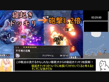 放て！復活の地裂斬！VS ナルガクルガ希少種(犬)【MHサンブレイク】