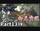 【MHRise】初見で楽しむ！MHRise実況プレイPart13【里★4山林の荒法師】
