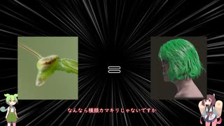 アクションゲーム苦手でもできるさELDEN