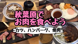 【秋葉原】お肉を食べよう！トンカツ・ハンバーグ・焼肉・ステーキ【グルメ】