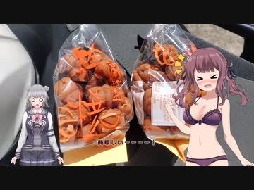 あかりと愉快な仲間たちのバイクライフは山ばかり！その21.5