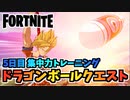 【フォートナイト】ドラゴンボールクエスト5日目集中力トレーニング”照準、筋斗雲からかめはめ派、アスファルト”【Fortnite】