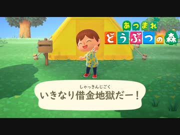 いきなり知らない無人島に誘拐されて詰みました。♯1【あつまれ どうぶつの森】