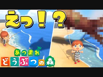 デカすぎ釣れた！99999ベルで売れるんじゃね？ww ♯6【あつまれ どうぶつの森】