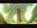 【ゼルダの伝説BotW】実況プレイ-part63-