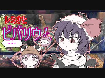 【ビバリウム】レミさとのビバリウム01