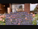 ヨーガ・ヴァーシシュタ６－１２