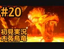 【初見実況】#２０ 新天地　銃槍担ぐ　木菟竜【Monster Hunter RISE SUNBREAK】