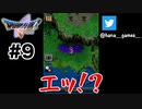 猫に気を取られて入る村ではなかった【DQ5/iPad】#9