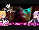 【STRAY】ゆかりとマキが猫ちゃんと大冒険part２０【特別シリーズ】