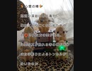 個人的に検証してみたい心霊観光地　抱返り渓谷