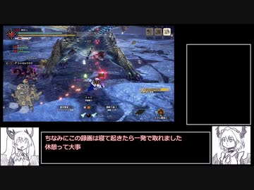 黒の中の白　シャガルマガラ　06"06'30　片手剣　【MHサンブレイク】