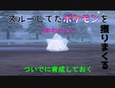 【ポケモン剣盾】8番道路に戻ってポケモン集め　ポケットモンスターシールドを実況【#27】