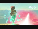 【ゼルダの伝説BotW】実況プレイ-part65-