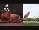 最高の親友とアウトサイダーの夢【Stray】