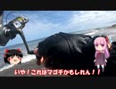 琴葉姉妹と行く釣行記録（海釣り編part25）