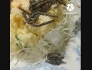 タマゴサラダにいそ松葉相性抜群人数分取り分けてタマゴサラダ違ったたまたま５皿だ