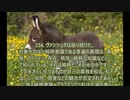 ヨーガ・ヴァーシシュタ６－１３