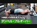 【筋トレ】ダンベル・プルオーバーのやり方 | 大胸筋と広背筋を肥大させる種目【ビーレジェンド プロテイン】