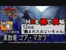 【モンスターハンターライズ：サンブレイク】MRを裸で攻略！チャアクおじいちゃん『ゴアマガラ』編