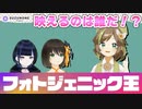 SNSに必要な「フォトジェニック」の正体【SUZUNONE Project/VTuber】
