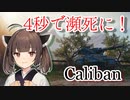 【WoT】敵を四秒でミンチにする戦車　#20『Caliban』【World of Tanks】