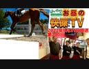 お昼の快傑TV200回0821_2022