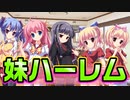 【紳士向け】#3　理想の妹、このゲームで見つけませんか？【妹ぱらだいす！】