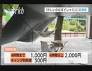 遊園地の跡地で“ワーケーション”電源付きテントの中で始める働き方～福岡