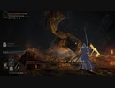 ドラゴンがいるとは聞いてないんですよ【ELDEN RING】43
