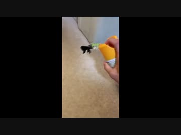 自分より大きな敵に特攻するGずんだもん