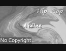 [無料ダウンロード｜フリートラック/BGM] 暗い、幻想的、チルい、ヒップホップ｜Aquilae {Prod. by tcyk}
