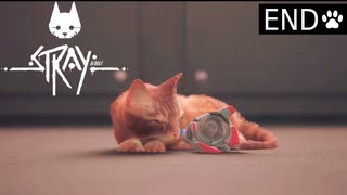 【実況】猫になれるときいて＊Strayを初見プレイ【END】