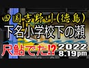 アユの友釣り 四国吉野川(徳島県) 下名小学校下の瀬 2022.8.19pm