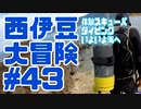 西伊豆大冒険#43体験スキューバダイビングいよいよ海へ