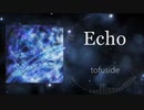 Echo