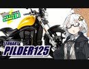 MINOR UNDER 250 #10【LEONART PILDER125】