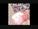 【Showa Summer songs 昭和の夏ソング】　勝手にシンドバット Freely and Openly be Sinbad - Southern All Stars