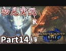 【MHRise】初見で楽しむ！MHRise実況プレイPart14【里★4吹き荒ぶ銀世界／里★4赤熱の輪舞曲】