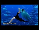 しんみりと「深海少女」歌ってみた【夏色はやて】